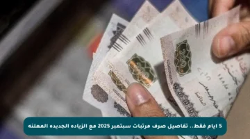 5 أيام فقط.. تفاصيل صرف مرتبات سبتمبر 2025 مع الزيادة الجديدة المعلنة